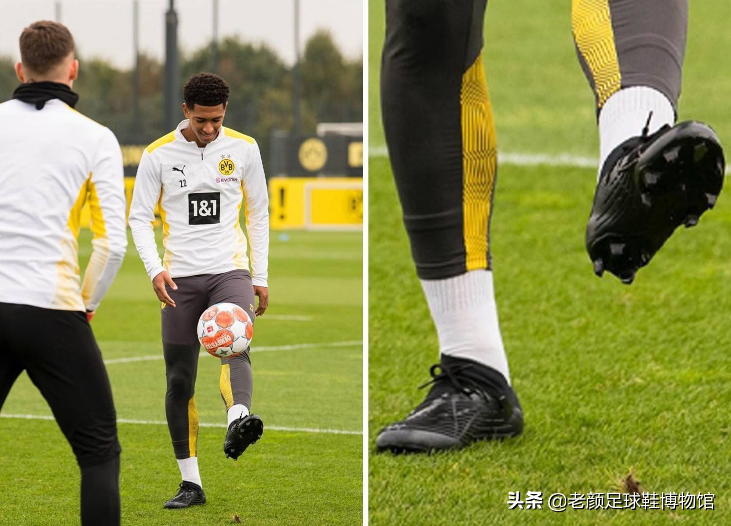 好地保护自 好地保护自