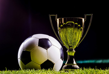 唯一的进球 唯一的进球