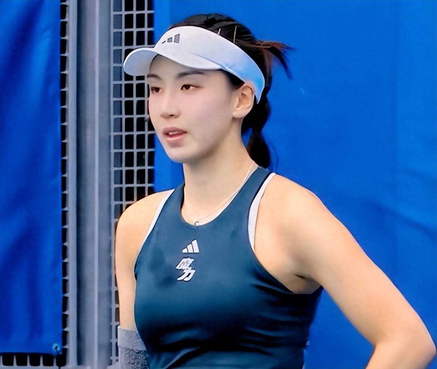 霍福德短切 霍福德短切